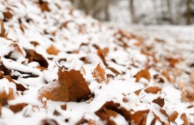 Wienerwald, © Wienerwald Tourismus GmbH / Kerstin Semmelmeyer