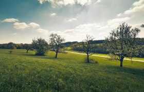 Laabentalradweg, © Wienerwald