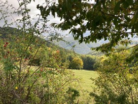 Genusswanderung, © Wienerwald