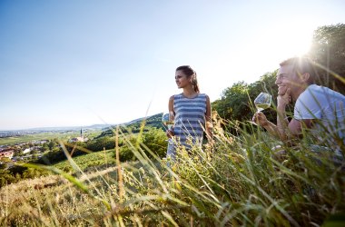 Genuss, Wienerwald, Genießerzimmer, Hochkräutl, Gumpoldskirchen, © Niederösterreich Werbung/ Hauke Dressler