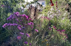 Herbstlicher Zauber mit Blüten und Gräser, © Christina Wiesmann