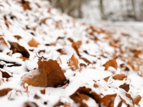 Wienerwald, © Wienerwald Tourismus GmbH / Kerstin Semmelmeyer