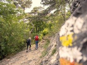 Wandern im Wienerwald, © Wienerwald / Studio Kerschbaum