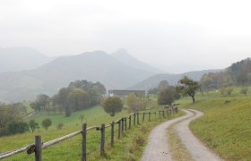 Auf dem Weg, © Wienerwald