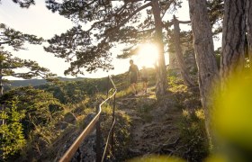 Wandern im Wienerwald, © Wienerwald / Studio Kerschbaum