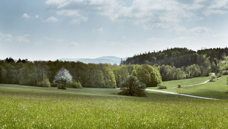 Irenental (c)Wienerwald Tourismus_Andreas Hofer_2021, © Andreas Hofer/Wienerwald Tourismus