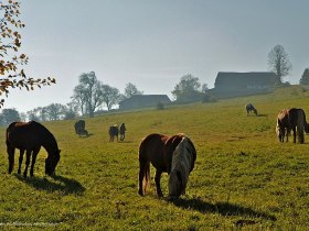 Oberpirath, © Christian Wolfsgruber