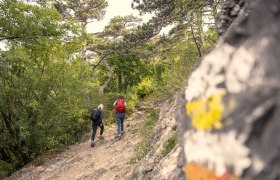 Wandern im Wienerwald, © Wienerwald / Studio Kerschbaum