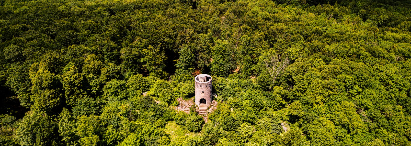 Wilhelmswarte im Wienerwald, © Sascha Schernthaner