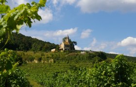 WeinWanderWeg Bad Vöslau, © Harald Schachl