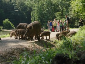 Naturpark Sparbach, © Wienerwald