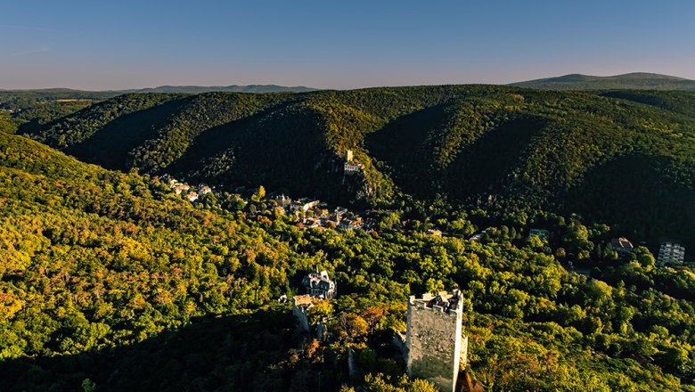 Burgruine Rauheneck, © Sascha Schernthaner