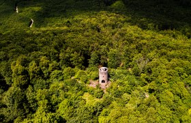 Wilhelmswarte im Wienerwald, © Sascha Schernthaner