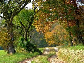 Feldweg nach Oberpirath, © Christian Wolfsgruber