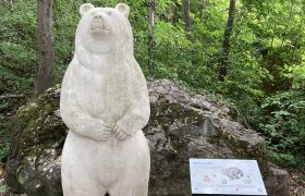 Tropfsteinhöhle Alland, © Marktgemeinde Alland