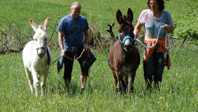 auf der Wiese, © (Copyright Christine Plocek)