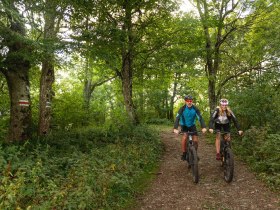 MTB Wienerwald, © Wienerwald Tourismus GmbH / Christoph Kerschbaum