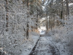 Harzberg, © Wienerwald Tourismus GmbH / Silke Ebster