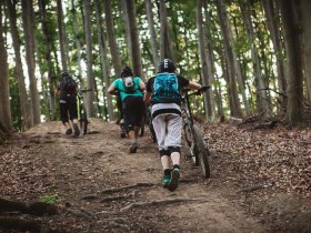 MTB Wienerwald, © Wienerwald Tourismus GmbH / Markus Wessig