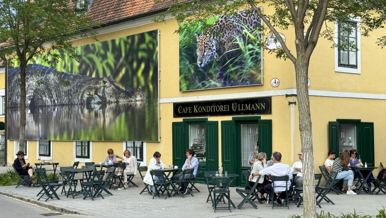 Festival La Gacilly Baden Photo 2024, © Lois Lammerhuber/Brent Stirton/Festival La Gacilly-Baden Photo