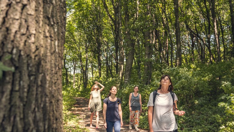 WienerWaldSein, © Wienerwald Tourismus/Studio Kerschbaum 