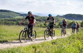 MTB Wienerwald, © Wienerwald Tourismus GmbH / Markus Frühmann