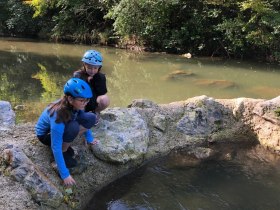 Radeln auf dem Triestingauradweg_Staustufe Triesting_Wasserwald, © Wienerwald Tourismus