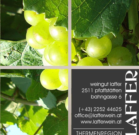 Traube und Kontaktdaten, © weingut-laffer.at