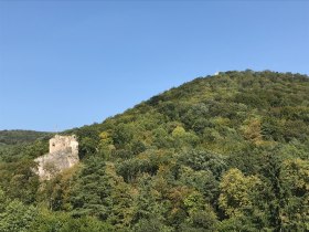 Naturpark Sparbach, Ruine Johannstein, © Wienerwald