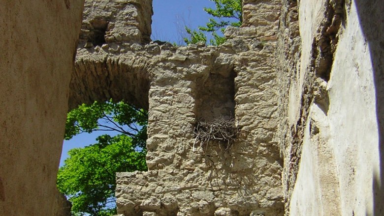 Burgruine Johannstein, © Burgruine Johannstein