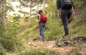 Wandern im Wienerwald, © Wienerwald / Studio Kerschbaum