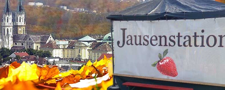 Jausenstation Erdbeere, © erdbeere