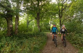 MTB Wienerwald, © Wienerwald Tourismus GmbH / Christoph Kerschbaum