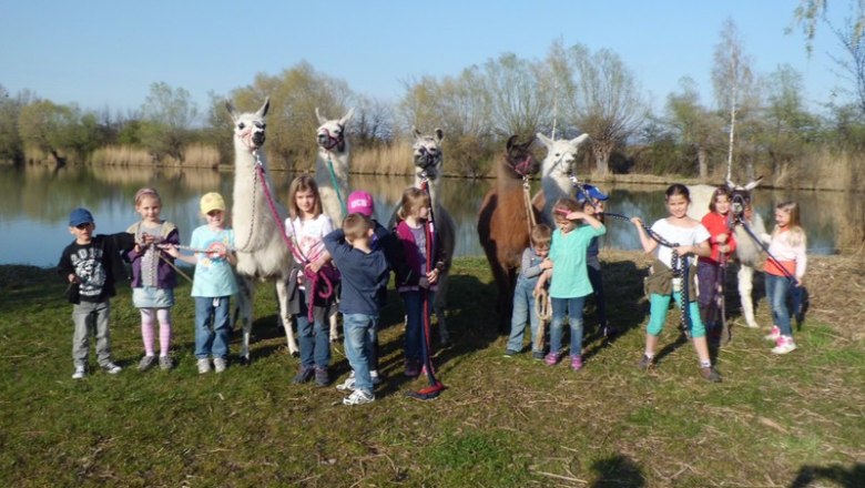 Kinder mit Lamas, © Krachler