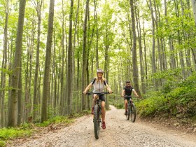 MTB Wienerwald, © Wienerwald Tourismus GmbH / Christoph Kerschbaum