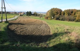 Haagen Feldweg, © Wienerwald