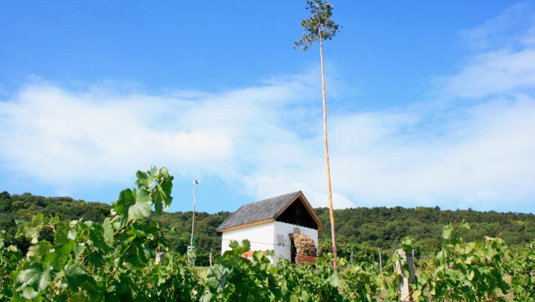 Heuriger & Weinbau Zechmeister, © Hans Krist