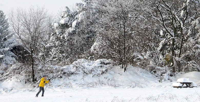 Langlaufen im Wienerwald, © Martina Konrad Murphy