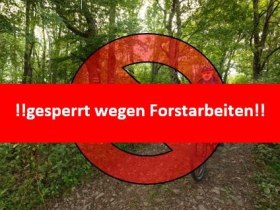 gesperrt wegen Forstarbeiten, © Wienerwald Tourismus/Christoph Kerschbaum