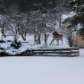 Garten im Winter, © Familie Reischer