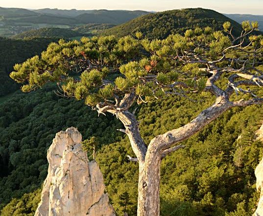 Peilstein Aussicht, © Wienerwald Tourismus