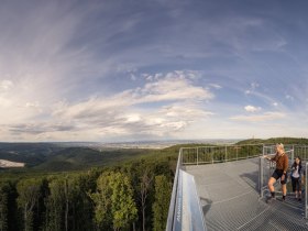 Wandern im Wienerwald, © Wienerwald / Studio Kerschbaum