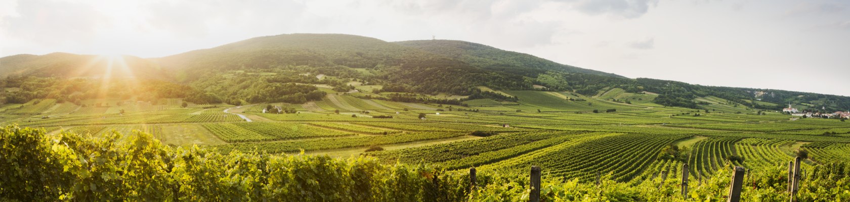 Thermenregion Wienerwald, © Niederösterreich Werbung/Michael Liebert