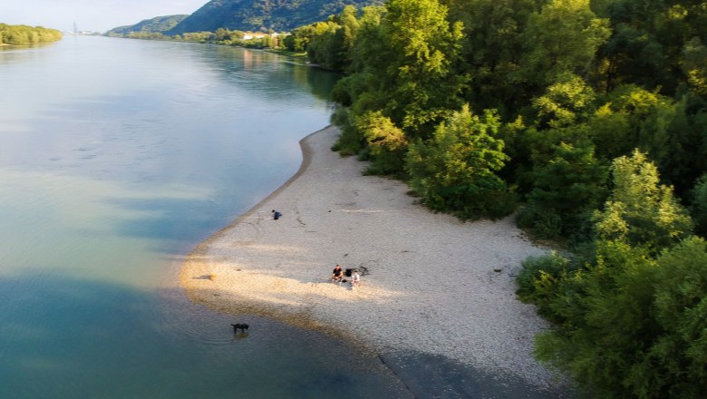 Luftaufnahme eines Flussufers mit Kiesstrand und Bäumen, Menschen entspannen., © Stadtmarketing Klosterneuburg_Leona Schwarz_td-donaustrand-klosterneuburg-c-benjamin-zibuschka