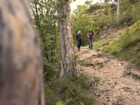 Wandern im Wienerwwald, © Wienerwald / Studio Kerschbaum