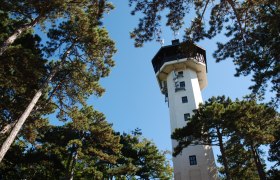 Aussichtsturm, © Wienerwald