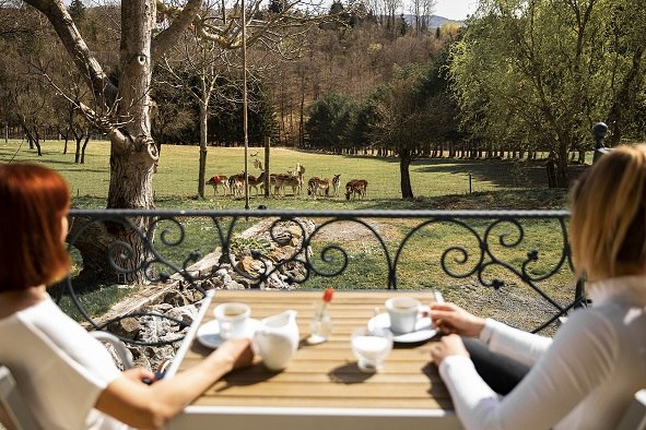 Urlaub am Bauernhof, © Gästehaus Gnant_2021