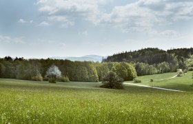 Irenental (c)Wienerwald Tourismus_Andreas Hofer_2021, © Andreas Hofer/Wienerwald Tourismus