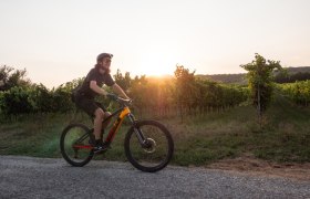 MTB im Wienerwald, © Wienerwald Tourismus/TUES GmbH