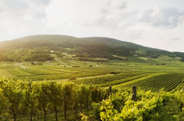 Thermenregion Wienerwald, © Niederösterreich Werbung/Michael Liebert